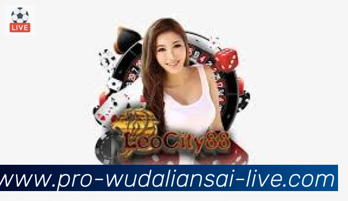 多彩内容专区