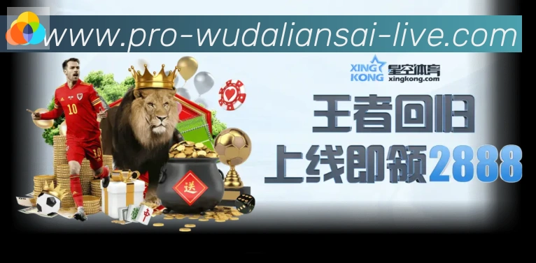 五大联赛直播荣誉